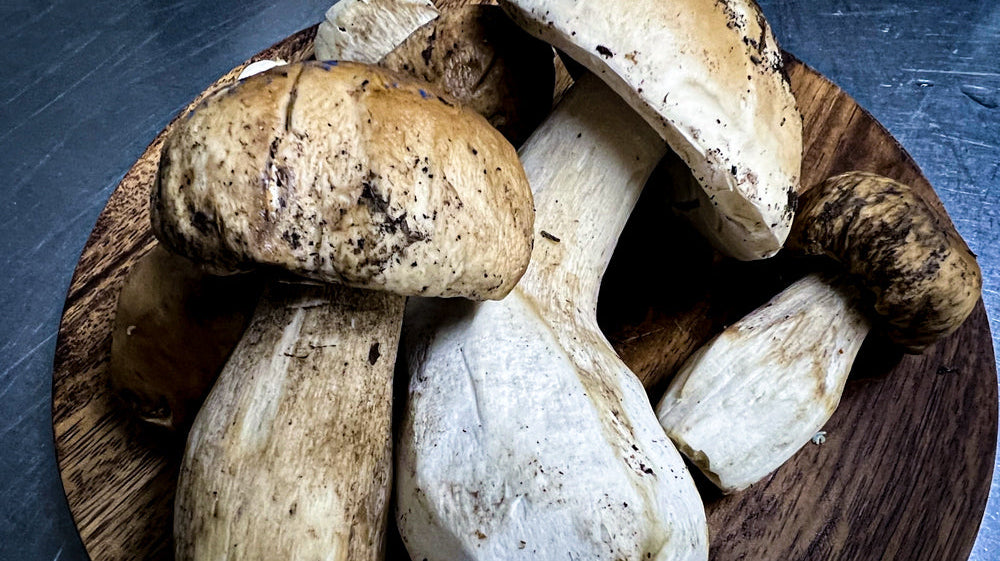 イタリア人も大好き!秋の味覚、ポルチーニとはどんな味?